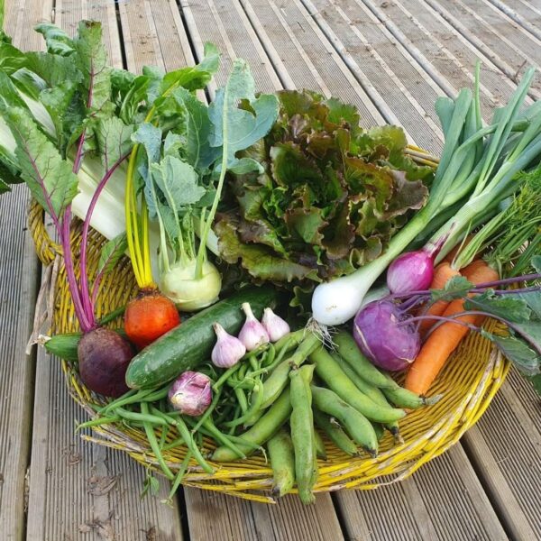 Panier Complet (env. 4pers.)